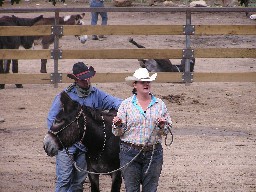 Burro Instruction at Ponil